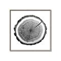 Picture of Log Slice I _GroupedProduct_Square_Photography _GroupedProduct_Square_Canvas_Framed_