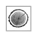 Picture of Log Slice I _GroupedProduct_Square_Photography _GroupedProduct_Square_Canvas_Framed_