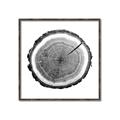 Picture of Log Slice I _GroupedProduct_Square_Photography _GroupedProduct_Square_Canvas_Framed_