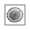 Picture of Log Slice I _GroupedProduct_Square_Photography _GroupedProduct_Square_Canvas_Framed_