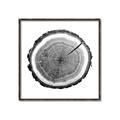 Picture of Log Slice I _GroupedProduct_Square_Photography _GroupedProduct_Square_Canvas_Framed_