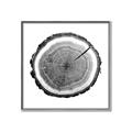 Picture of Log Slice I _GroupedProduct_Square_Photography _GroupedProduct_Square_Canvas_Framed_