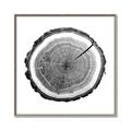 Picture of Log Slice I _GroupedProduct_Square_Photography _GroupedProduct_Square_Canvas_Framed_