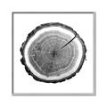 Picture of Log Slice I _GroupedProduct_Square_Photography _GroupedProduct_Square_Canvas_Framed_