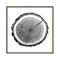 Picture of Log Slice I _GroupedProduct_Square_Photography _GroupedProduct_Square_Canvas_Framed_