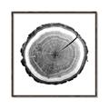 Picture of Log Slice I _GroupedProduct_Square_Photography _GroupedProduct_Square_Canvas_Framed_