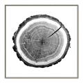 Picture of Log Slice I _GroupedProduct_Square_Photography _GroupedProduct_Square_Canvas_Framed_