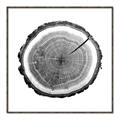 Picture of Log Slice I _GroupedProduct_Square_Photography _GroupedProduct_Square_Canvas_Framed_
