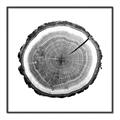Picture of Log Slice I _GroupedProduct_Square_Photography _GroupedProduct_Square_Canvas_Framed_