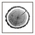 Picture of Log Slice I _GroupedProduct_Square_Photography _GroupedProduct_Square_Canvas_Framed_