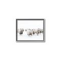 Picture of Sheep Party _GroupedProduct_Rectangle_Landscape_Photography _GroupedProduct_Rectangle_Landscape_Canvas_Framed_