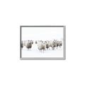 Picture of Sheep Party _GroupedProduct_Rectangle_Landscape_Photography _GroupedProduct_Rectangle_Landscape_Canvas_Framed_