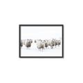 Picture of Sheep Party _GroupedProduct_Rectangle_Landscape_Photography _GroupedProduct_Rectangle_Landscape_Canvas_Framed_