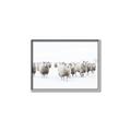 Picture of Sheep Party _GroupedProduct_Rectangle_Landscape_Photography _GroupedProduct_Rectangle_Landscape_Canvas_Framed_