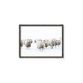 Picture of Sheep Party _GroupedProduct_Rectangle_Landscape_Photography _GroupedProduct_Rectangle_Landscape_Canvas_Framed_