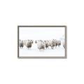 Picture of Sheep Party _GroupedProduct_Rectangle_Landscape_Photography _GroupedProduct_Rectangle_Landscape_Canvas_Framed_