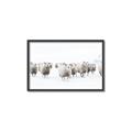 Picture of Sheep Party _GroupedProduct_Rectangle_Landscape_Photography _GroupedProduct_Rectangle_Landscape_Canvas_Framed_