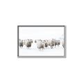 Picture of Sheep Party _GroupedProduct_Rectangle_Landscape_Photography _GroupedProduct_Rectangle_Landscape_Canvas_Framed_