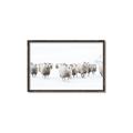 Picture of Sheep Party _GroupedProduct_Rectangle_Landscape_Photography _GroupedProduct_Rectangle_Landscape_Canvas_Framed_