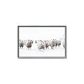 Picture of Sheep Party _GroupedProduct_Rectangle_Landscape_Photography _GroupedProduct_Rectangle_Landscape_Canvas_Framed_