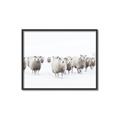 Picture of Sheep Party _GroupedProduct_Rectangle_Landscape_Photography _GroupedProduct_Rectangle_Landscape_Canvas_Framed_