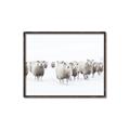 Picture of Sheep Party _GroupedProduct_Rectangle_Landscape_Photography _GroupedProduct_Rectangle_Landscape_Canvas_Framed_