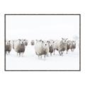 Picture of Sheep Party _GroupedProduct_Rectangle_Landscape_Photography _GroupedProduct_Rectangle_Landscape_Canvas_Framed_