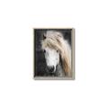 Picture of Stallion _GroupedProduct_Rectangle_Portrait_Photography _GroupedProduct_Rectangle_Portrait_Canvas_Framed_
