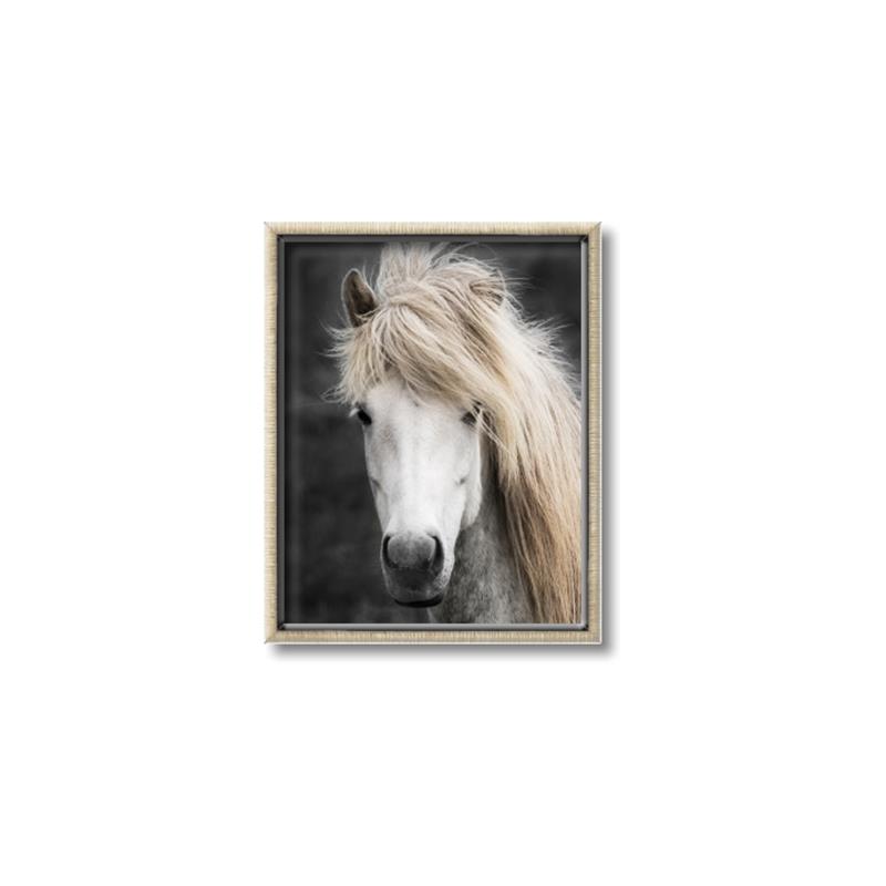 Picture of Stallion _GroupedProduct_Rectangle_Portrait_Photography _GroupedProduct_Rectangle_Portrait_Canvas_Framed_