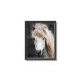 Picture of Stallion _GroupedProduct_Rectangle_Portrait_Photography _GroupedProduct_Rectangle_Portrait_Canvas_Framed_