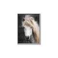 Picture of Stallion _GroupedProduct_Rectangle_Portrait_Photography _GroupedProduct_Rectangle_Portrait_Canvas_Framed_
