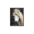 Picture of Stallion _GroupedProduct_Rectangle_Portrait_Photography _GroupedProduct_Rectangle_Portrait_Canvas_Framed_