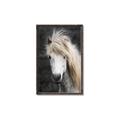 Picture of Stallion _GroupedProduct_Rectangle_Portrait_Photography _GroupedProduct_Rectangle_Portrait_Canvas_Framed_