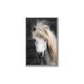 Picture of Stallion _GroupedProduct_Rectangle_Portrait_Photography _GroupedProduct_Rectangle_Portrait_Canvas_Framed_