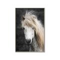 Picture of Stallion _GroupedProduct_Rectangle_Portrait_Photography _GroupedProduct_Rectangle_Portrait_Canvas_Framed_
