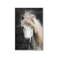 Picture of Stallion _GroupedProduct_Rectangle_Portrait_Photography _GroupedProduct_Rectangle_Portrait_Canvas_Framed_