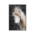 Picture of Stallion _GroupedProduct_Rectangle_Portrait_Photography _GroupedProduct_Rectangle_Portrait_Canvas_Framed_