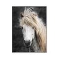 Picture of Stallion _GroupedProduct_Rectangle_Portrait_Photography _GroupedProduct_Rectangle_Portrait_Canvas_Framed_
