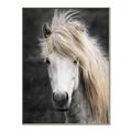 Picture of Stallion _GroupedProduct_Rectangle_Portrait_Photography _GroupedProduct_Rectangle_Portrait_Canvas_Framed_