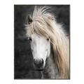 Picture of Stallion _GroupedProduct_Rectangle_Portrait_Photography _GroupedProduct_Rectangle_Portrait_Canvas_Framed_