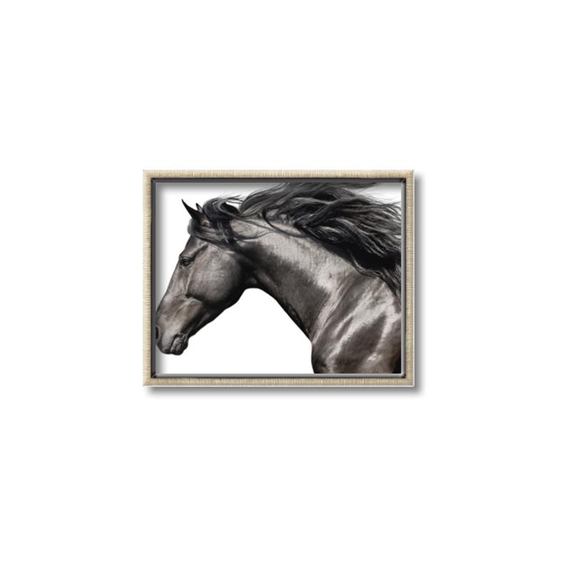 Picture of Free Again _GroupedProduct_Rectangle_Landscape_Photography _GroupedProduct_Rectangle_Landscape_Canvas_Framed_