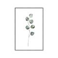 Picture of Leaves II _GroupedProduct_Rectangle_Portrait_Canvas_Framed_