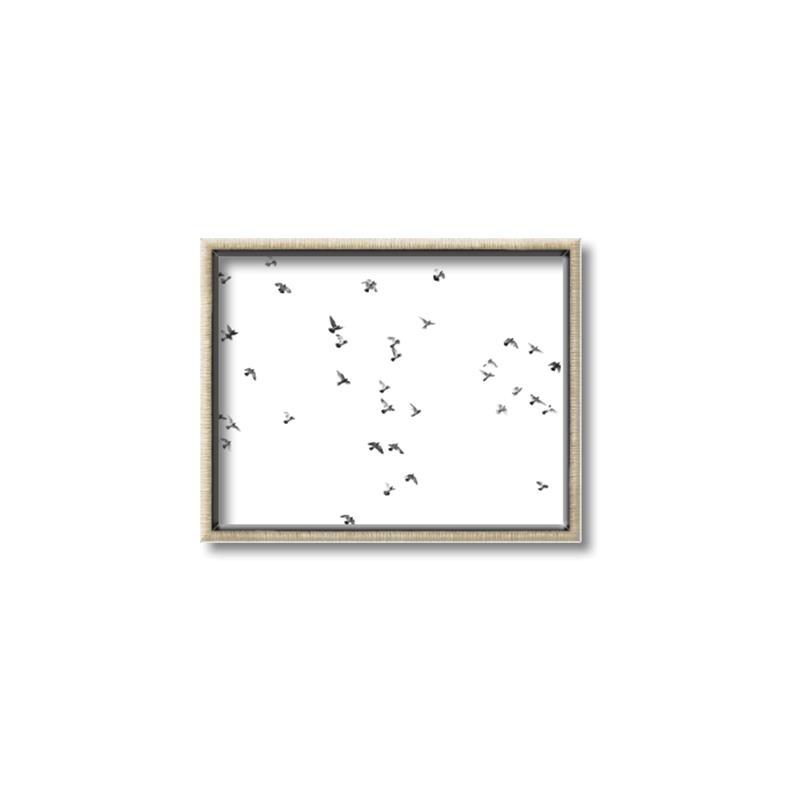 Picture of Flying Birds _GroupedProduct_Rectangle_Landscape_Photography _GroupedProduct_Rectangle_Landscape_Canvas_Framed_