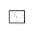 Picture of Flying Birds _GroupedProduct_Rectangle_Landscape_Photography _GroupedProduct_Rectangle_Landscape_Canvas_Framed_