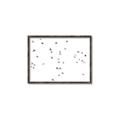 Picture of Flying Birds _GroupedProduct_Rectangle_Landscape_Photography _GroupedProduct_Rectangle_Landscape_Canvas_Framed_