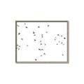 Picture of Flying Birds _GroupedProduct_Rectangle_Landscape_Photography _GroupedProduct_Rectangle_Landscape_Canvas_Framed_