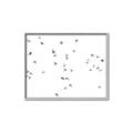 Picture of Flying Birds _GroupedProduct_Rectangle_Landscape_Photography _GroupedProduct_Rectangle_Landscape_Canvas_Framed_