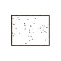 Picture of Flying Birds _GroupedProduct_Rectangle_Landscape_Photography _GroupedProduct_Rectangle_Landscape_Canvas_Framed_