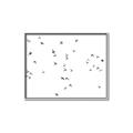 Picture of Flying Birds _GroupedProduct_Rectangle_Landscape_Photography _GroupedProduct_Rectangle_Landscape_Canvas_Framed_