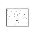 Picture of Flying Birds _GroupedProduct_Rectangle_Landscape_Photography _GroupedProduct_Rectangle_Landscape_Canvas_Framed_